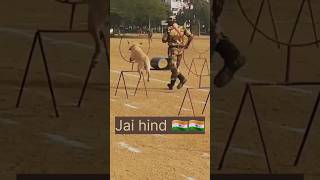 BSF dog training 🇮🇳💥 shots army dog trading shorts [upl. by Spear]