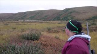 Caribou hunting near the NWT Yukon border [upl. by Alvira]