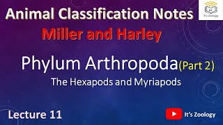 Phylum Arthropoda  Part 2  Hexapods  Myriapods  Animal Classification Notes  Lecture 11 [upl. by Yendys264]