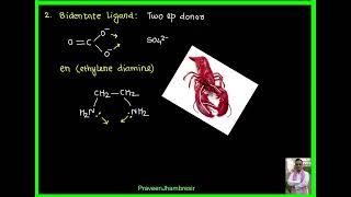 1 Double saltComplex saltCentral metal atom or ionLigandMonodentateBidentate [upl. by Kitty778]