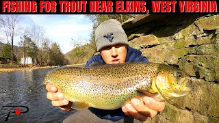 Trout Fishing Near Elkins West Virginia [upl. by Ynoep809]