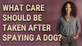 What care should be taken after spaying a dog [upl. by Lebanna]