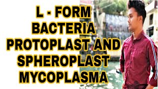 L form bacteria Protoplastspheroplastmycoplasmadifference between L form and mycoplasma [upl. by Angid425]