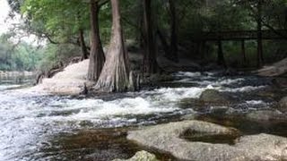 Suwannee River State Park [upl. by Arette]