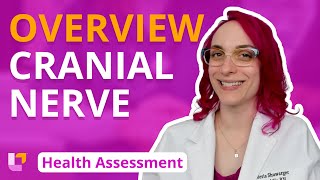 Cranial Nerve Overview  Health Assessment for Nursing Students  LevelUpRN [upl. by Asimaj]