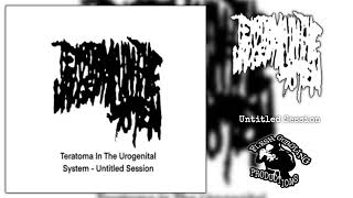 Teratoma In The Urogenital System  Untitled Session Debut Single Harsh Gorenoise [upl. by Eeresid]