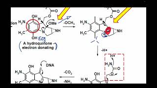 mitomycin C [upl. by Killarney]