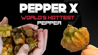 Pepper X Worlds Hottest Pepper [upl. by Fabi]