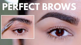 HOW TO GROOM SHAPE amp MAINTAIN EYEBROWS AT HOME BEGINNER FRIENDLY [upl. by Ielerol677]