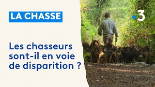 Chasse  les chasseurs sontils en voie de disparition [upl. by Buzz]