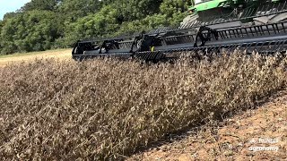 World Record Worthy Soybeans [upl. by Schroeder580]