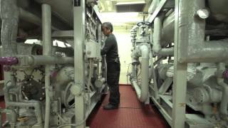 JOBS AT MSC Refrigeration Engineer [upl. by Amsirac]