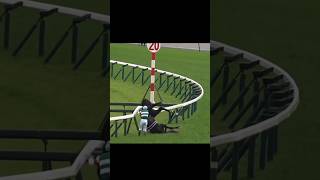 Horse racing accident fjordigang horse equestrian horseedit edit riding horseriding pony [upl. by Abocaj]