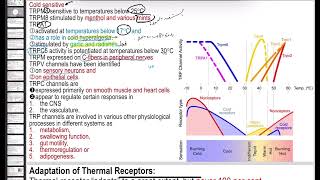 Sensory system5 types of thermal receptors and pain receptors [upl. by Fachini]