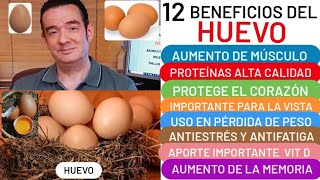 12 BENEFICIOS del🥚HUEVO🥚 DEPORTISTAS🏃MÚSCULO💪ESTRÉS😮 BAJA PESO👏ANTICANCERÍGENO LUTEÍNA ZEAXANTINA❤️ [upl. by Akenot]