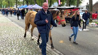 Zuidlaardermarkt Europas größter Pferde amp Jahrmarkt Paardenmarkt in Holland am 17102023 [upl. by Nydia]