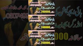 HEC Scholarships Undergraduate Students 2024  HEC Scholarship 2024 professoramir shortvideo [upl. by Greenman]