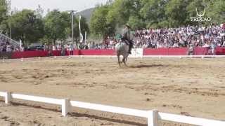 XLIII Campeonato de España de Doma Vaquera 8º Juan Manuel Cadena Ledesma [upl. by Keel]