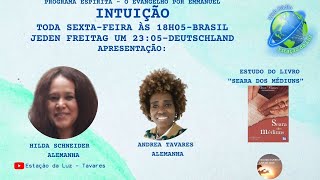 INTUIÇÃO  LIVRO SEARA DOS MÉDIUNS – CAP79 [upl. by Kegan]