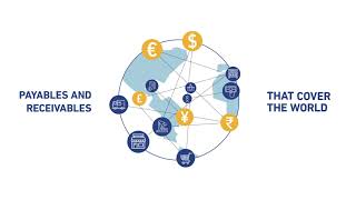 TransferMate Payables amp Receivables [upl. by Nylde]