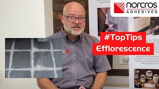 Efflorescence in Tiling  Norcros Top Tips Series [upl. by Pontus319]