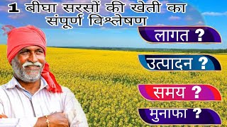 1 बीघा सरसो की खेती का संपूर्ण विश्लेषण  1 bigha sarso ki khati me kitna munafa [upl. by Anesuza]