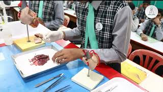 A Level Biology Dissection [upl. by Jumbala]