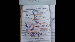 microbes topic 6 Lytic And Lysogenic Cycle  biology BSC exam [upl. by Nordine]