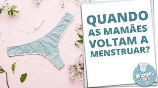 MENSTRUAÇÃO PÓS PARTO EM QUANTO TEMPO ELA VOLTA  MACETES DE MÃE [upl. by Ibbison]