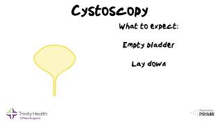 Bladder Cancer What is a Cystoscopy  Dr Grew of Trinity Health Of New England explains [upl. by Naamann78]