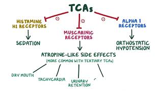 Tricyclic Antidepressants pharmacology 🔥OSMOSISFull mechanism side effects selflessmedicose [upl. by Einallem]