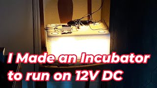 DIY Homemade SolarPowered Incubator [upl. by Tsan]