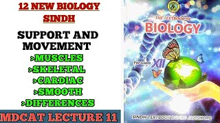 MUSCLES  TYPES OF MUSCLES  SMOOTH CARDIAC AND SKELETAL MUSCLES  DIFFERENCES  CLASS 12 BIO [upl. by Ahsiemat375]