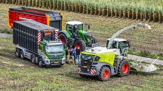 Mais 2023  16 FENDT Tractors  Claas Jaguar 950  Schimmel  Scherpenzeel [upl. by Hebe]