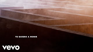 Dvicio  TE QUIERO A MORIR Lyric Video [upl. by Yeknarf481]