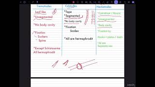 شرح مدخل الطفيليات Medical parasitology 1Nematodes 2cestodes 3Trematodes المحاضرة الأولى [upl. by Vanny6]