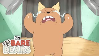 Pet Adoption Commercial  We Bare Bears  Cartoon Network [upl. by Sirkin]