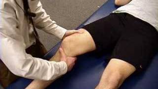 Knee Exam Lachman Test [upl. by Hselin]