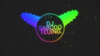 DJ SABODO TEUING [upl. by Ilojne383]