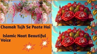 Chamak Tujhse Pate Hain Sab Pane wale Kuch Alag h islamicnaat youtubevideo shaik wasifa [upl. by Ulphia]