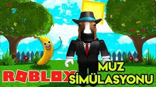 🍌 Muz Simülasyonu 🍌  Banana Simulator  Roblox Türkçe [upl. by Wehrle162]