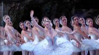 Swan Lake by American Ballet Theatre in 2005 [upl. by Lotson906]