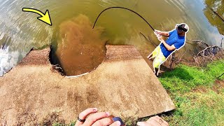 300 LB MONSTER in a STORM DRAIN [upl. by Ieso332]