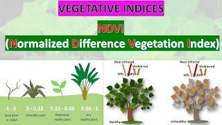 NDVI  NORMALIZED DIFFERENCE VEGETATION INDEX  GATE GEOMATICS ENGINEERING  ndvi gate soil [upl. by Nathanoj]