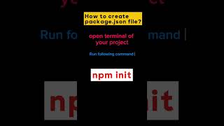 Packagejson file create with just one command governorsindhinitiative code typescript [upl. by Carlee]
