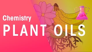 The Extraction Of Plant Oils  Organic Chemistry  Chemistry  FuseSchool [upl. by Ener627]