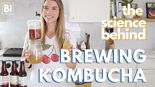 THE SCIENCE BEHIND KOMBUCHA fermentation symbiosis and types of microbes science of food [upl. by Yrtsed530]