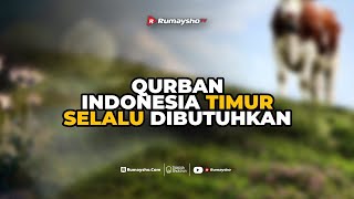 QURBAN INDONESIA TIMUR SELALU DIBUTUHKAN  Rumaysho TV [upl. by Masera]