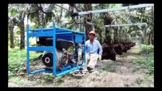 OIL PALM CABLEWAY CENTRO ACEROS [upl. by Ovid]