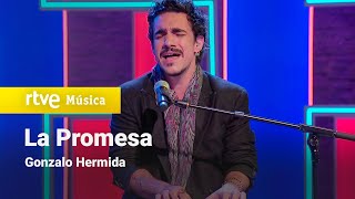 Gonzalo Hermida  “La Promesa” Plan de Tarde [upl. by Evars]